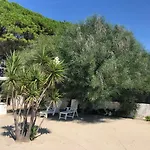 Giglio Di Mare *