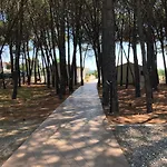 Giglio Di Mare Holiday home Sellia Marina