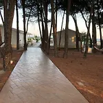 Giglio Di Mare
