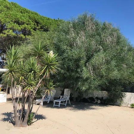 Giglio Di Mare *