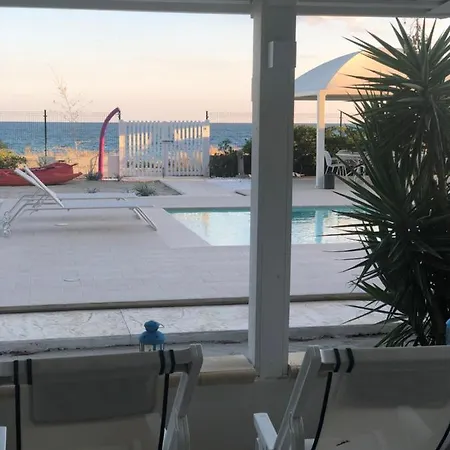 Giglio Di Mare