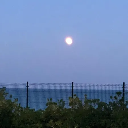 Giglio Di Mare Tatil Evi