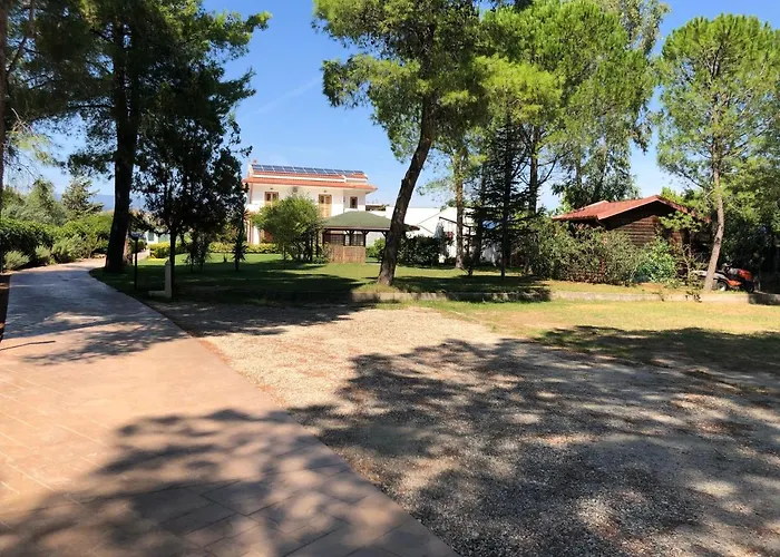 Giglio Di Mare Sellia Marina